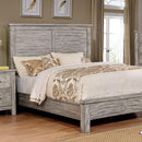 Canopus Bed