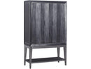 Pulaski Furniture Echo Door Chest in Galaxy Black