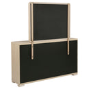 Ladera Dresser with Mirror