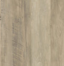 Sachin Adjustable Entertainment