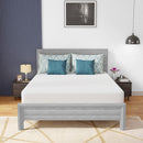 Coreopsis 10" Queen Memory Foam Wave Comfort